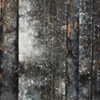 24_JRA_durchforstungen